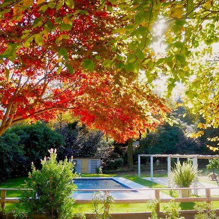 Eco-Resort Parco Botanico Fiorlago Mergozzo Exterior foto