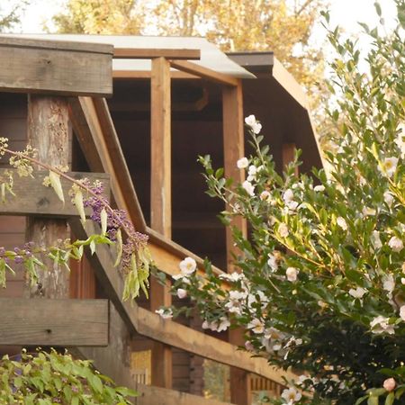 Eco-Resort Parco Botanico Fiorlago Mergozzo Exterior foto