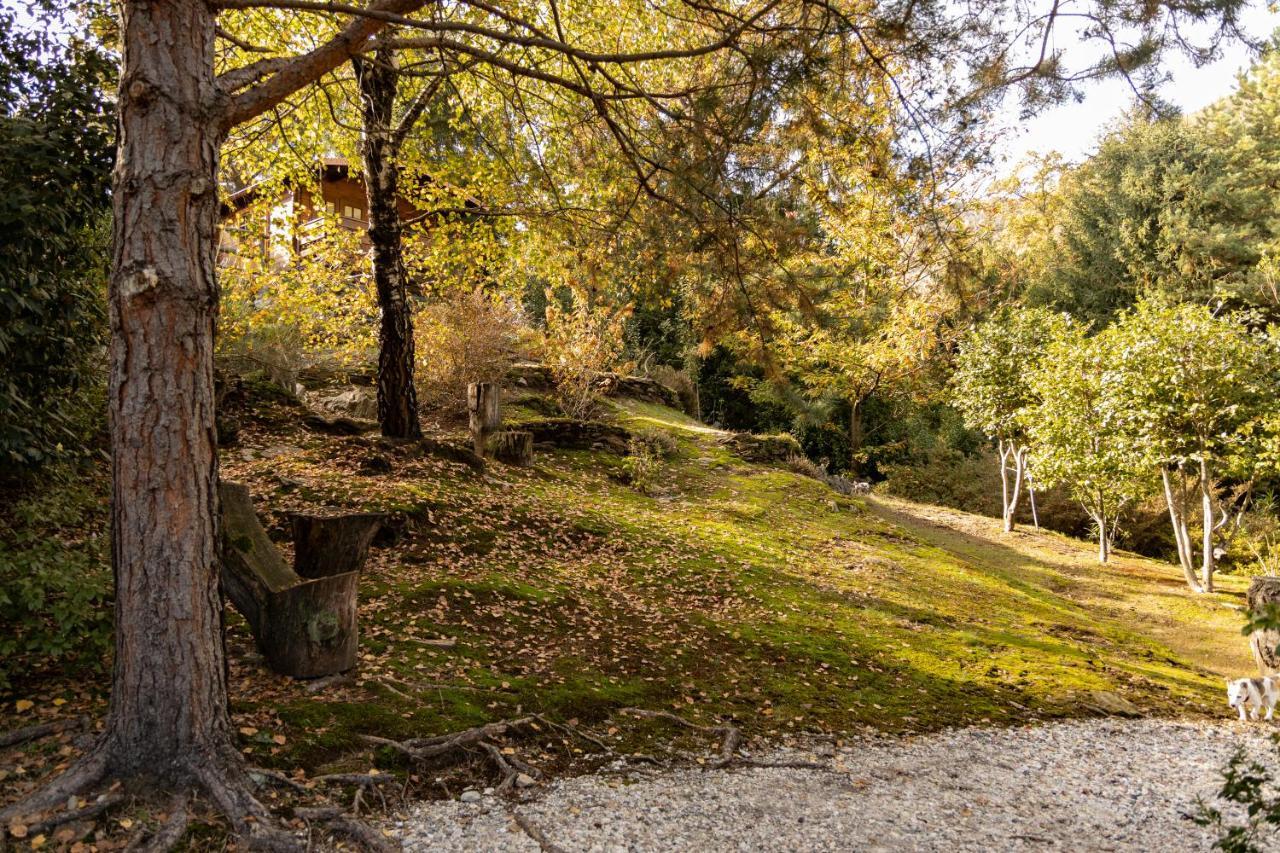 Eco-Resort Parco Botanico Fiorlago Mergozzo Exterior foto