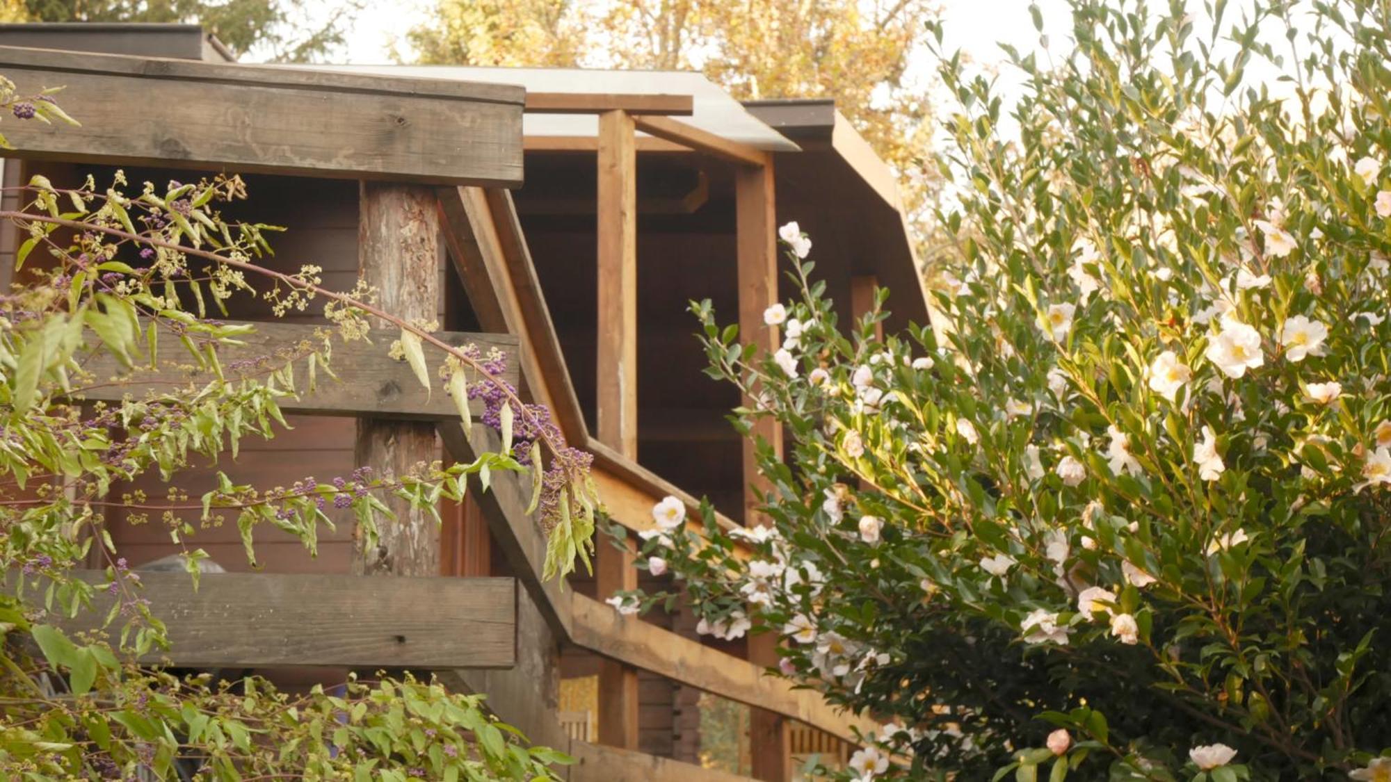 Eco-Resort Parco Botanico Fiorlago Mergozzo Exterior foto