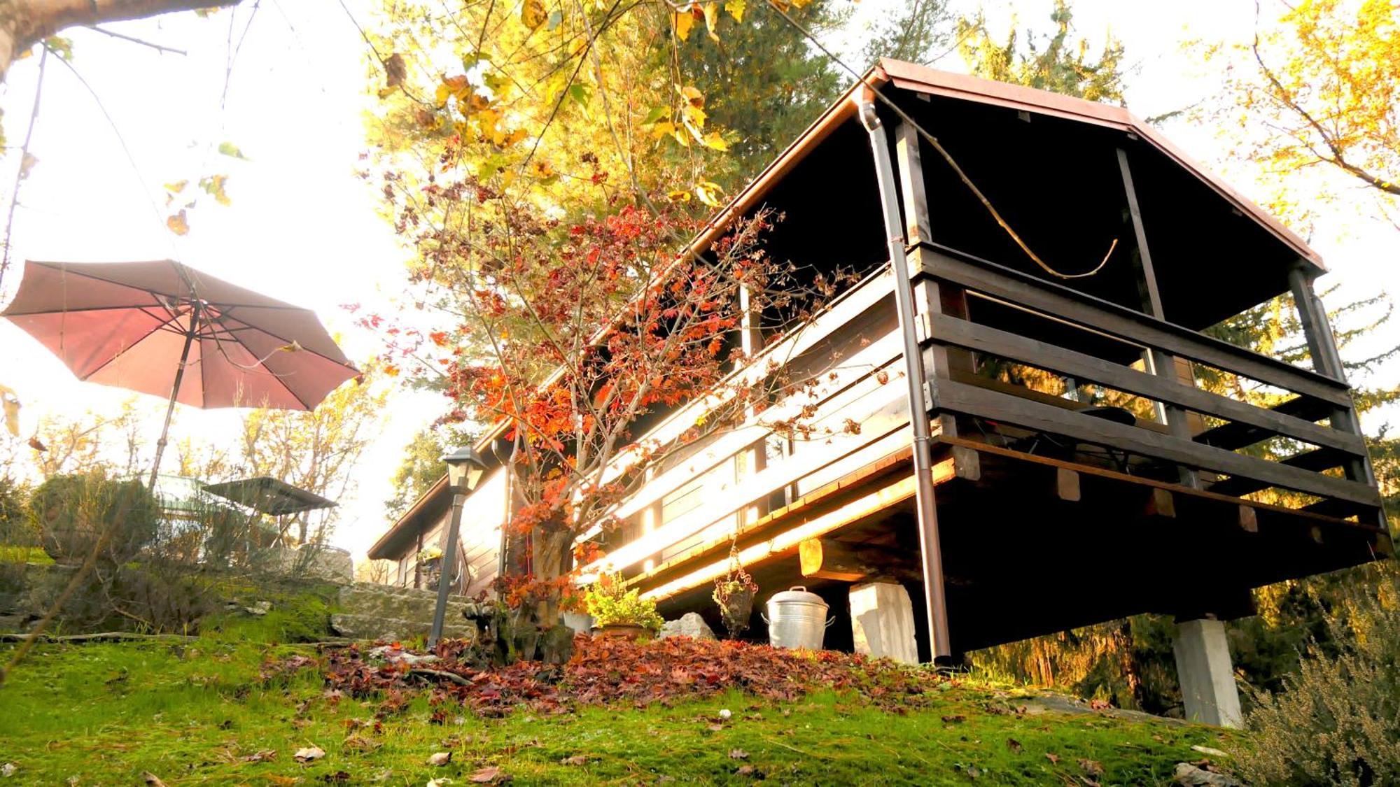 Eco-Resort Parco Botanico Fiorlago Mergozzo Zimmer foto